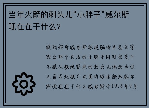 当年火箭的刺头儿“小胖子”威尔斯现在在干什么？